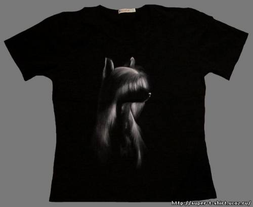http://super-t-shirt.ucoz.ru/_ph/5/2/188039480.jpg