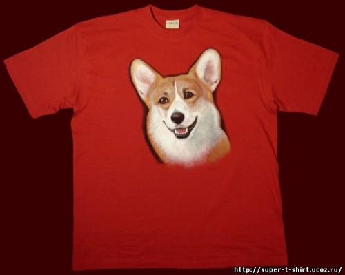 http://super-t-shirt.ucoz.ru/_ph/5/2/464487402.jpg