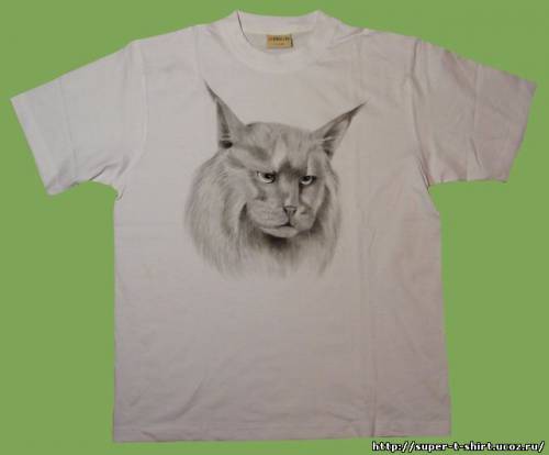 http://super-t-shirt.ucoz.ru/_ph/6/2/431484275.jpg